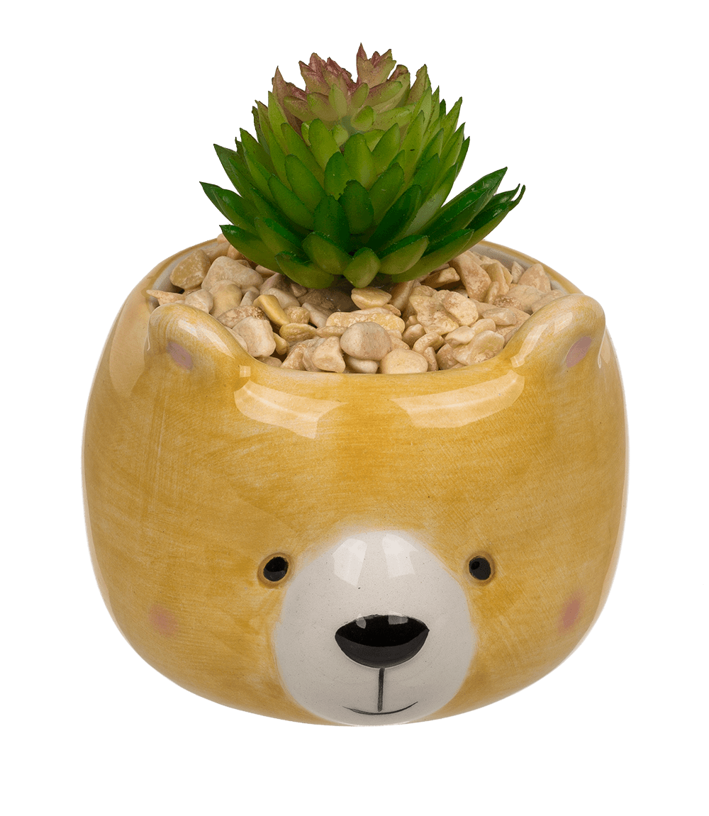Decoration succulent in pot, Animals,