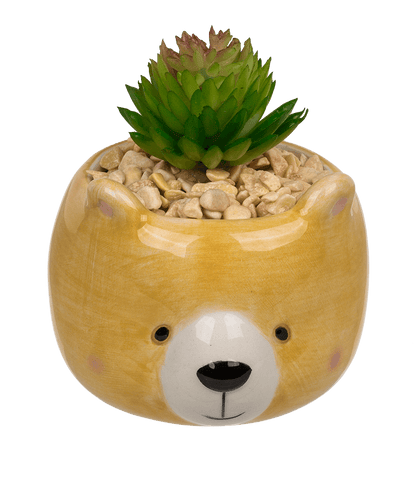 Decoration succulent in pot, Animals,