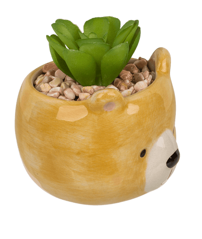 Decoration succulent in pot, Animals,