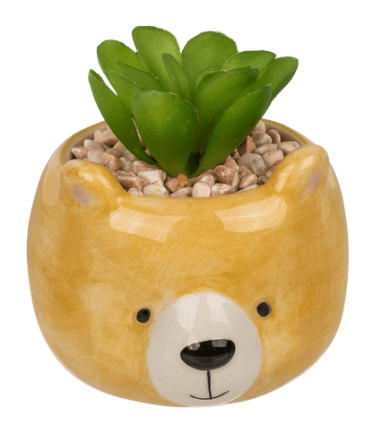 Decoration succulent in pot, Animals,