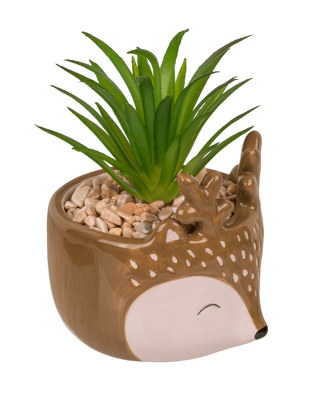 Decoration succulent in pot, Animals,