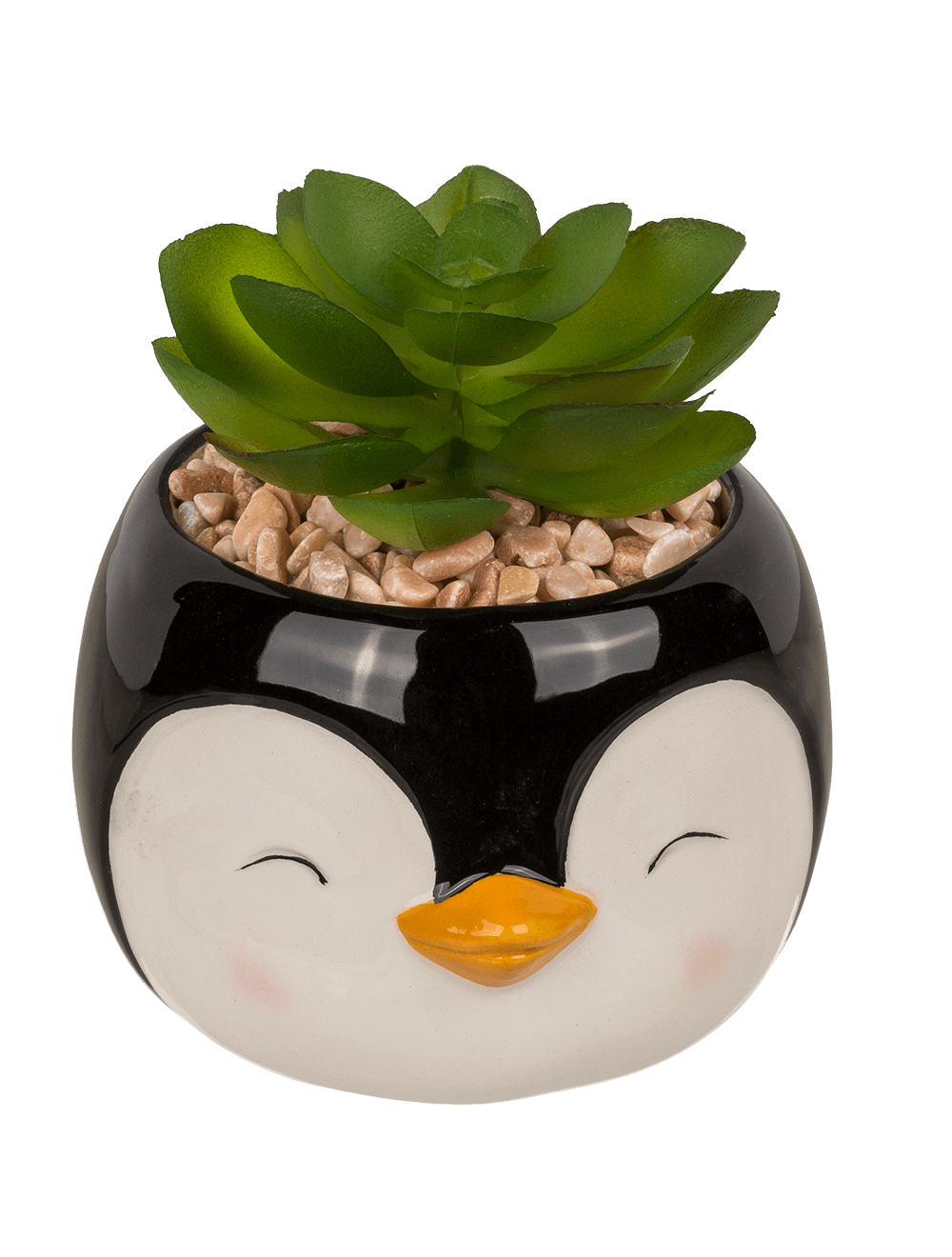 Decoration succulent in pot, Animals,