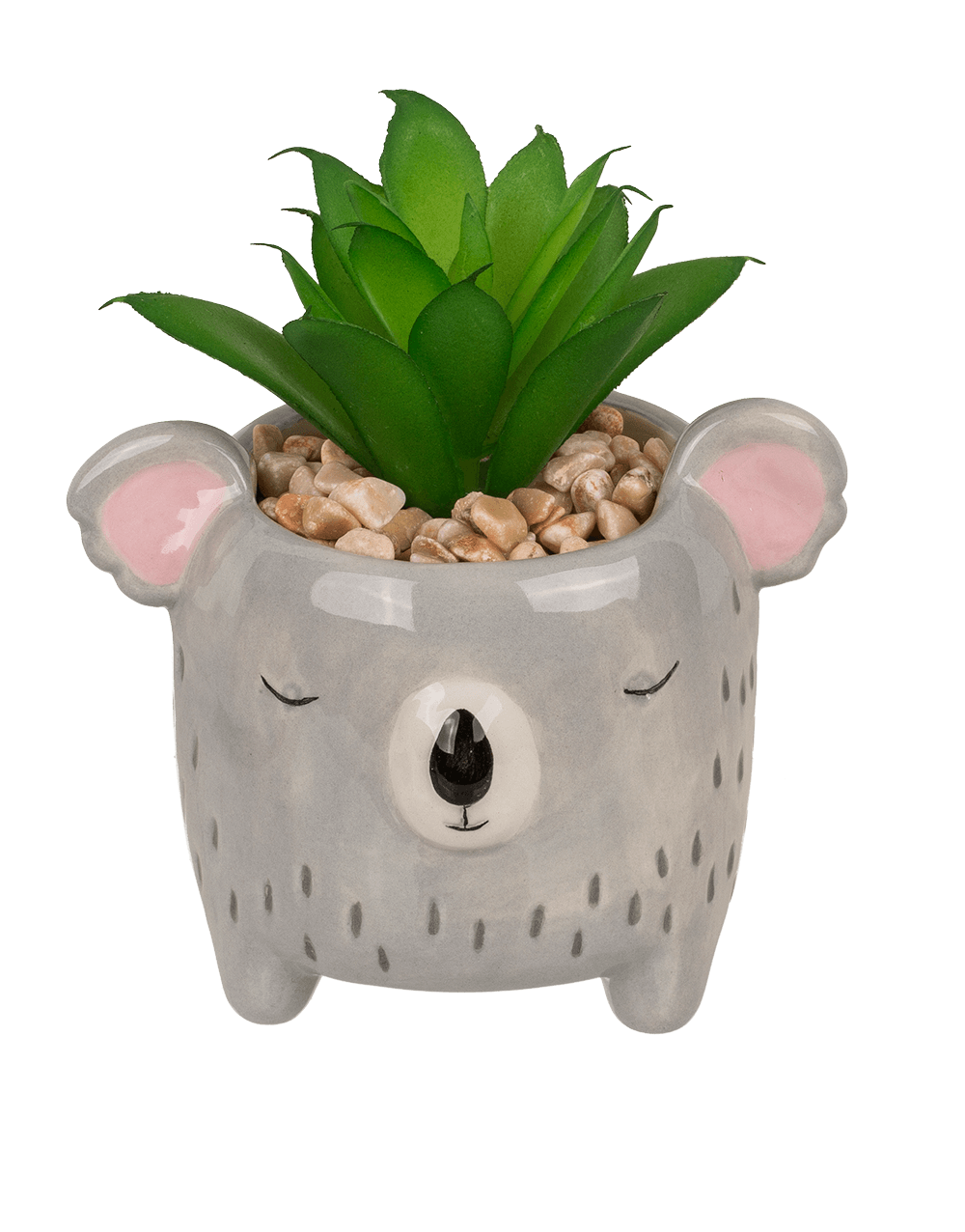 Decoration succulent in pot, Animals,