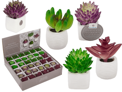 Magnet, succulent in white pot,