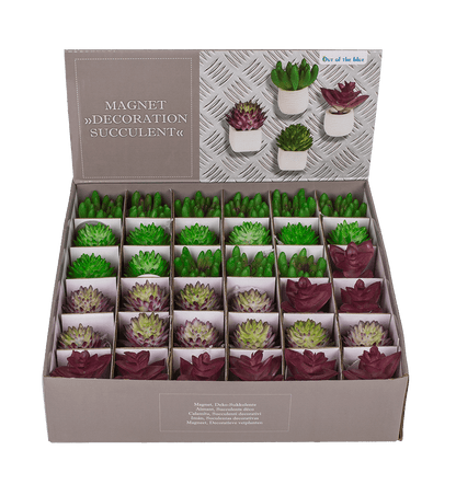 Magnet, succulent in white pot,