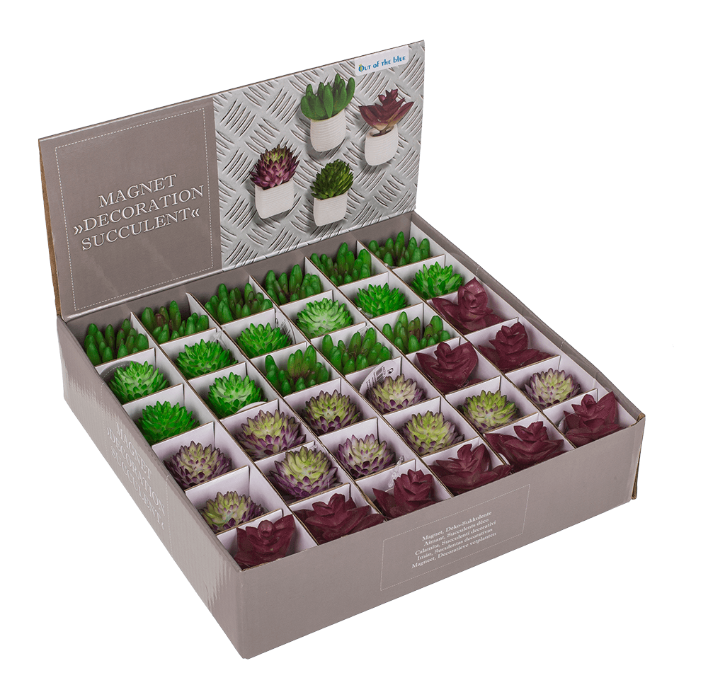 Magnet, succulent in white pot,