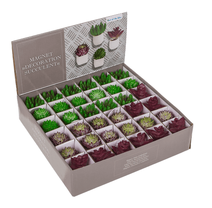 Magnet, succulent in white pot,