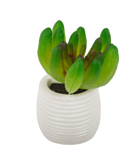 Magnet, succulent in white pot,