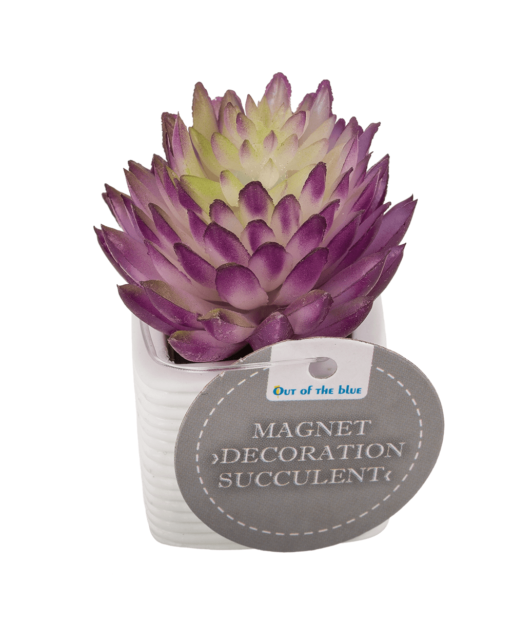 Magnet, succulent in white pot,