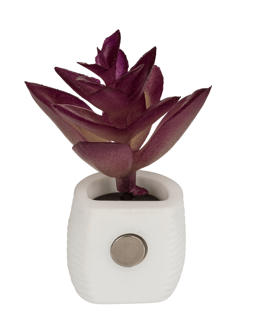 Magnet, succulent in white pot,