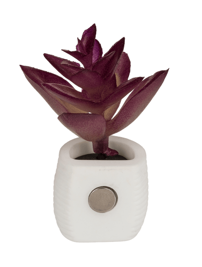Magnet, succulent in white pot,