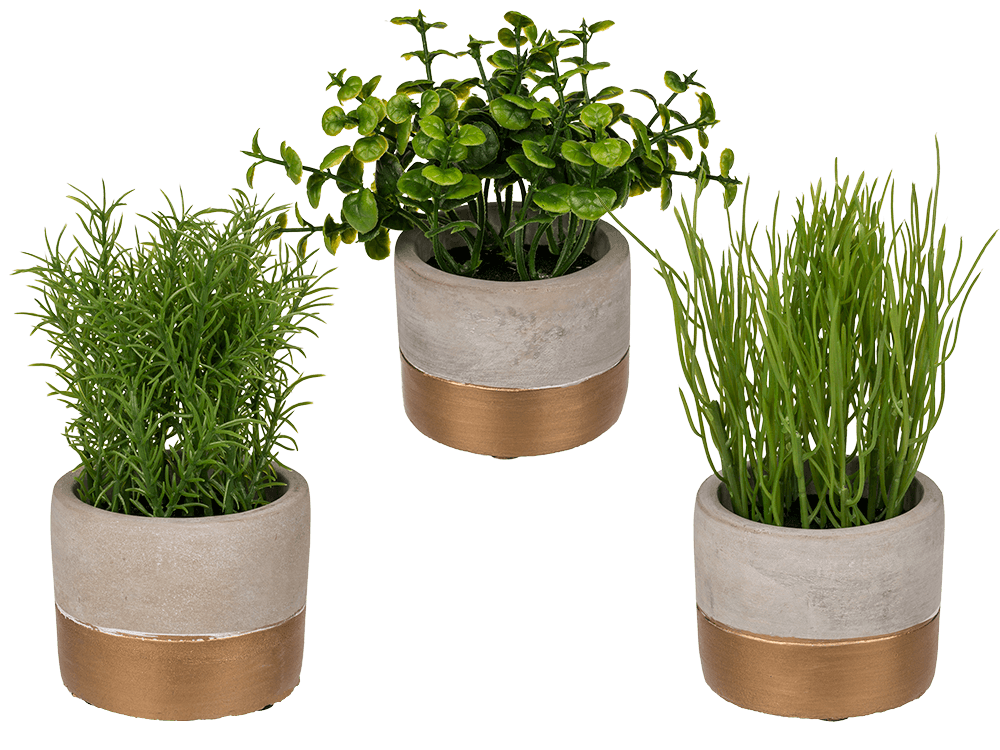 Decoration herbs in grey/gold coloured cement pot,