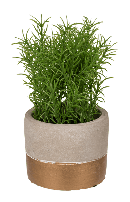 Decoration herbs in grey/gold coloured cement pot,