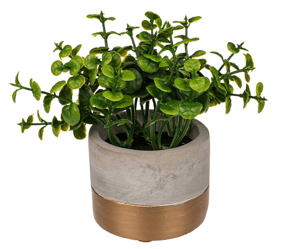 Decoration herbs in grey/gold coloured cement pot,