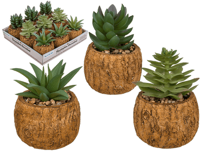 Decoration succulent in cement  pot,