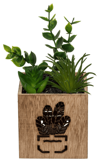 Deco Succulent,
