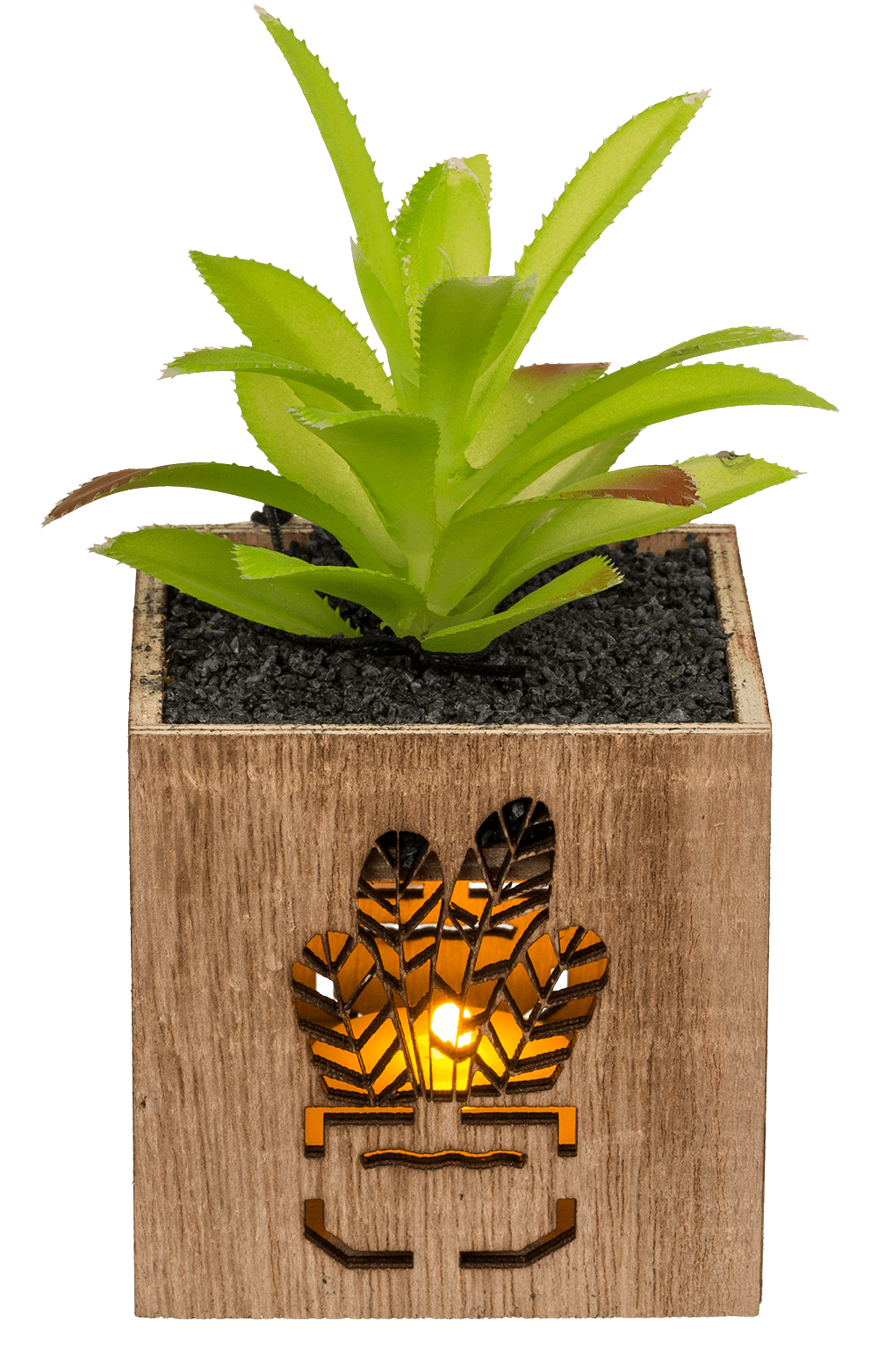 Deco Succulent,