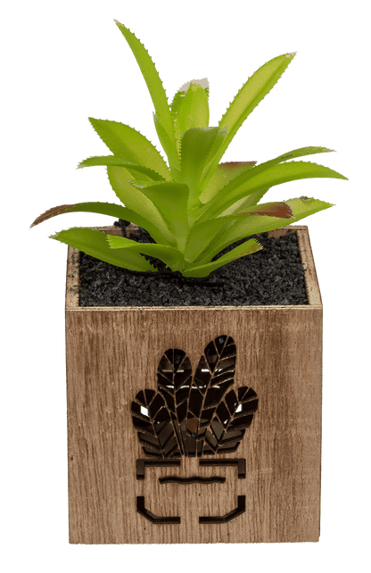 Deco Succulent,