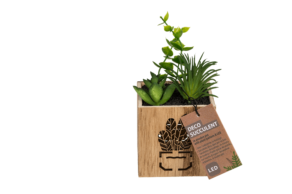 Deco Succulent,