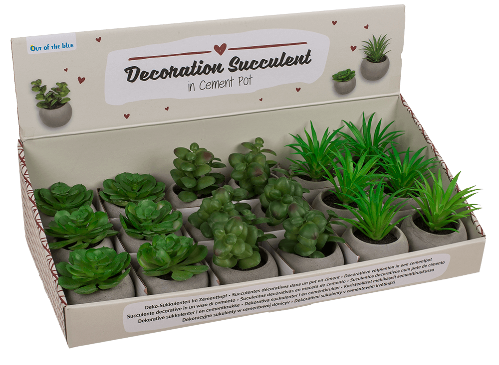 Deco succulent in cement pot,