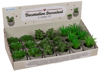 Deco succulent in cement pot,