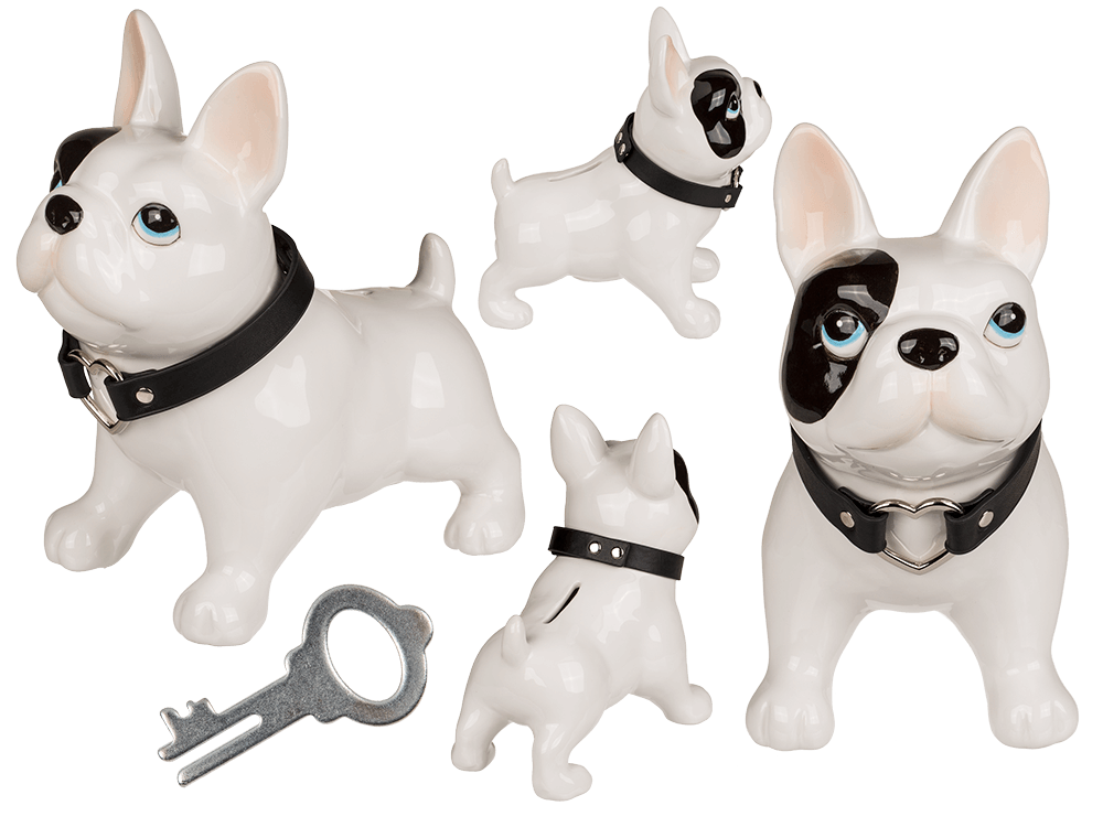 Money bank, dog,