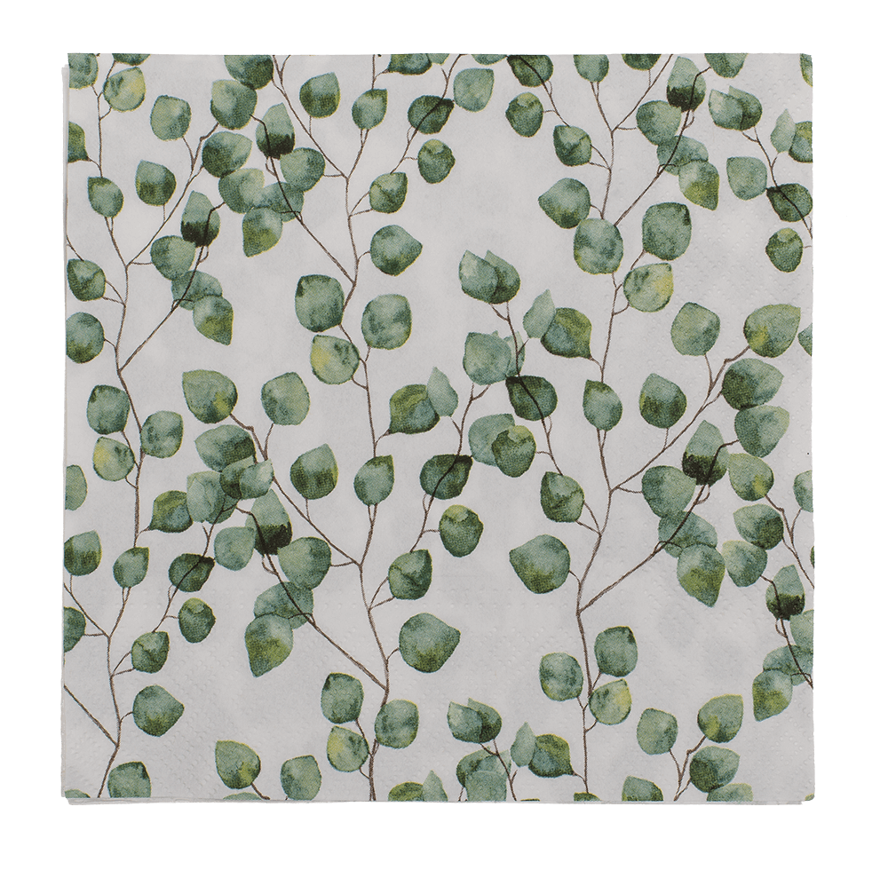 Paper napkins, Eucalyptus leaves,