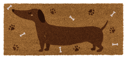 Felpudo, perro salchicha