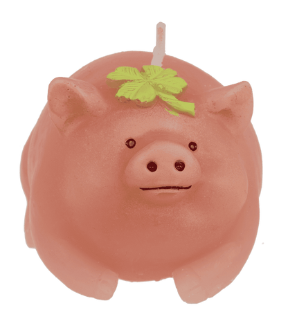Bougie, Cochon avec trèfle,