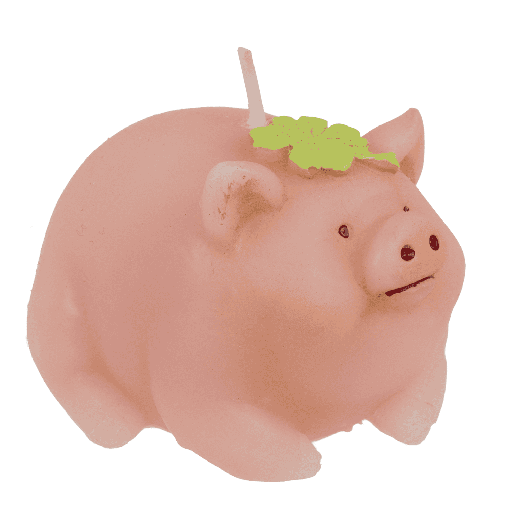 Bougie, Cochon avec trèfle,