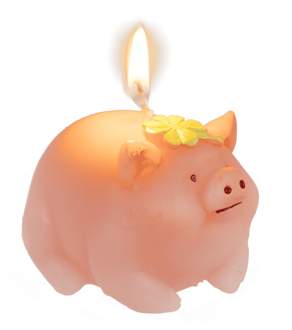 Bougie, Cochon avec trèfle,