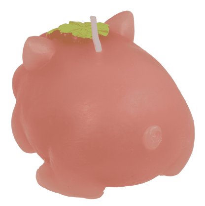 Bougie, Cochon avec trèfle,