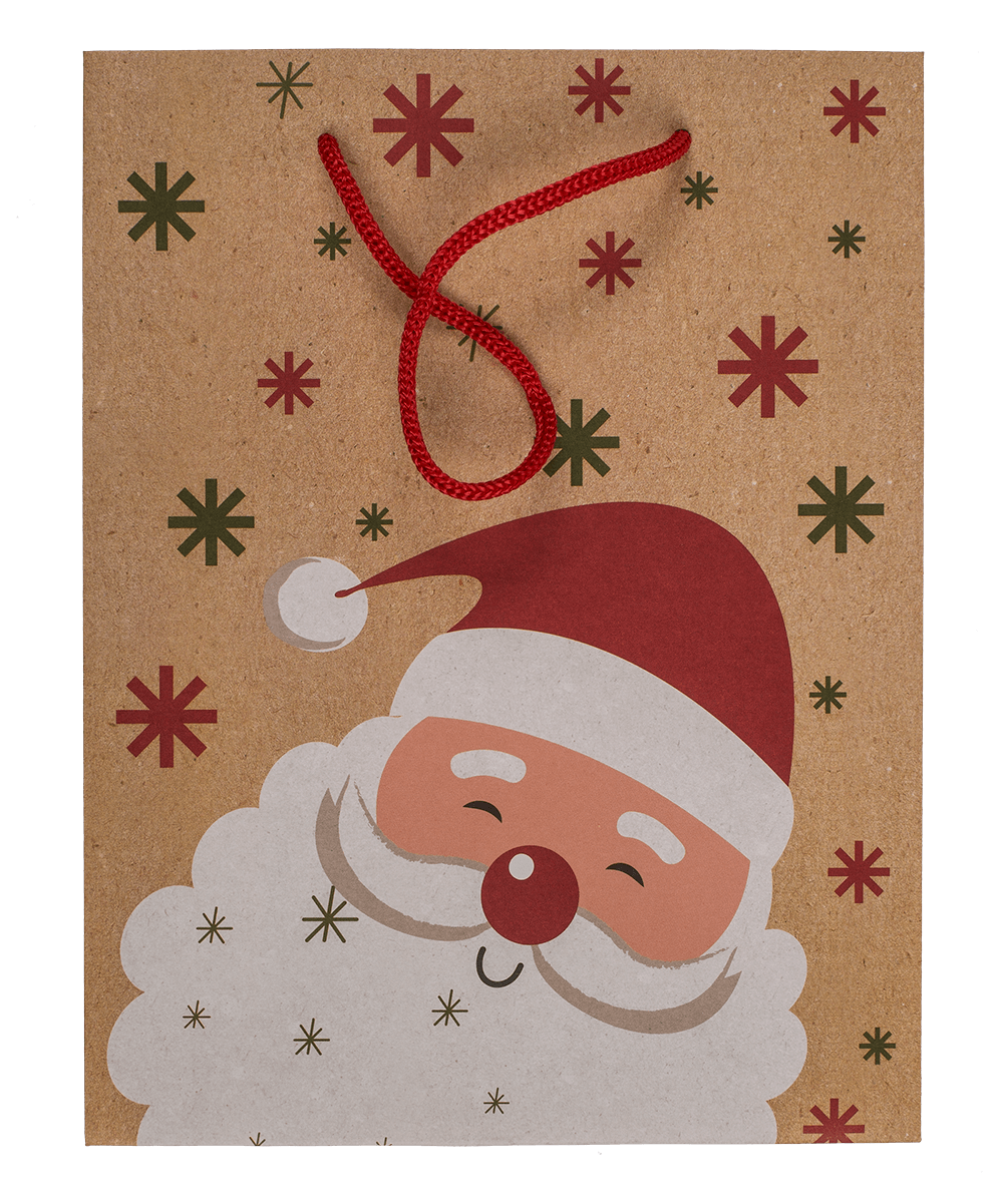 Paper gift bag, Christmas friends,