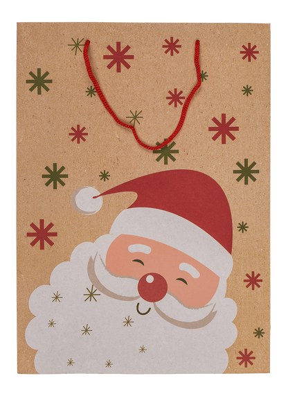 Paper gift bag, Christmas friends,