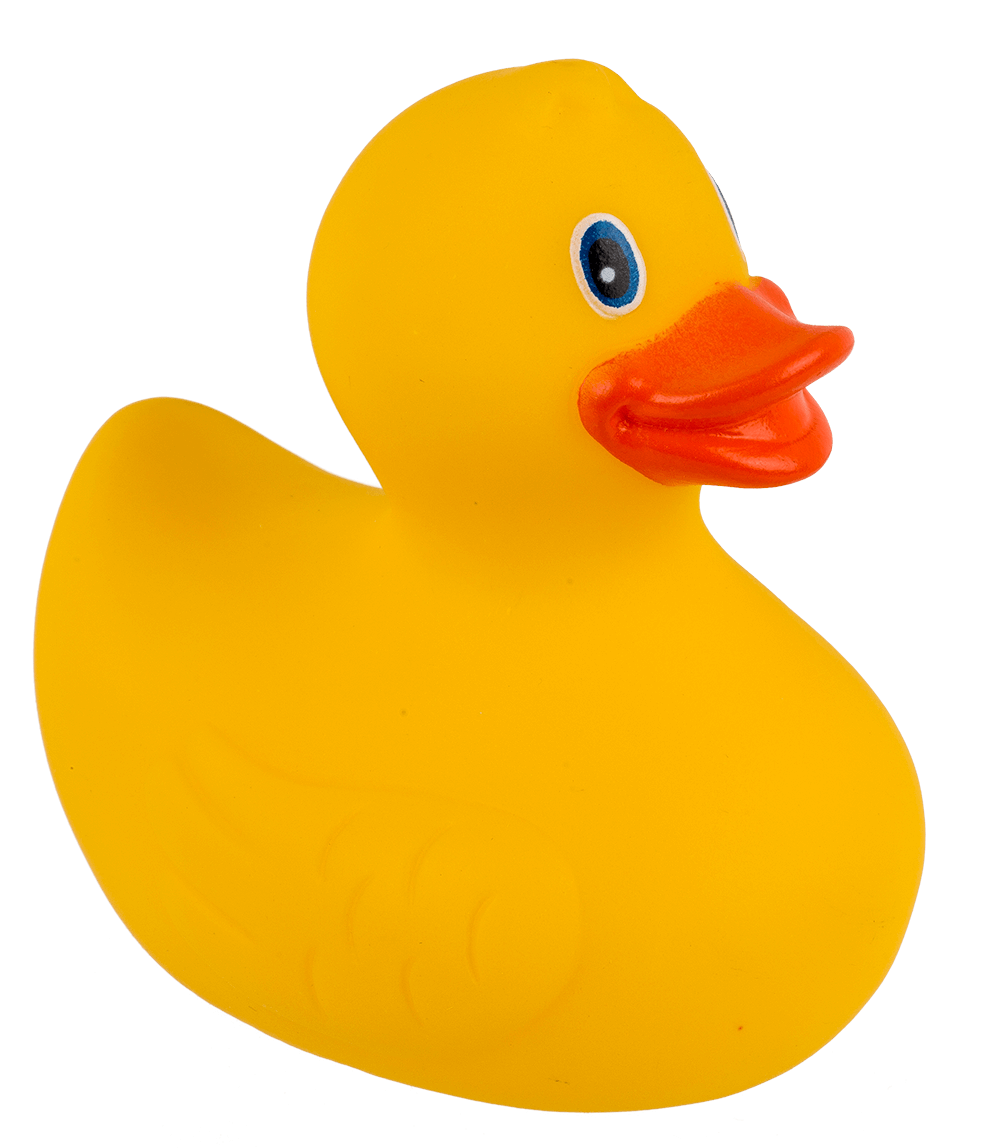 Yellow Squeaking Duck,