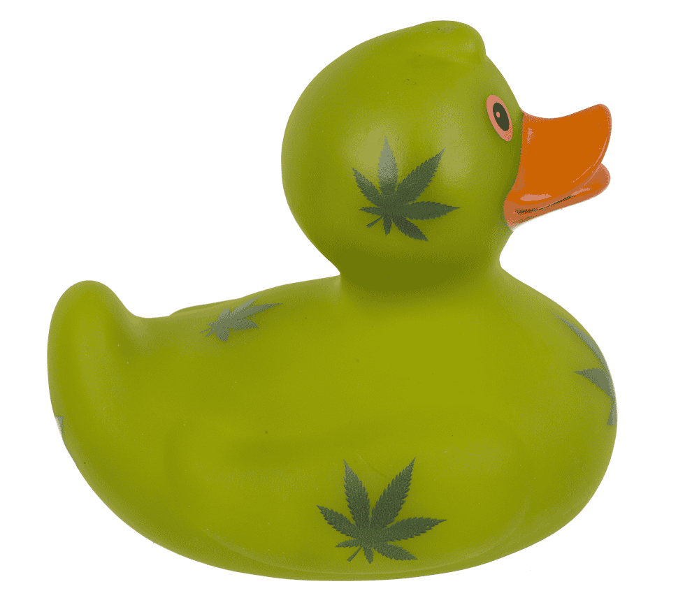Cannabis Squeaking Duck, ca. 10 cm,