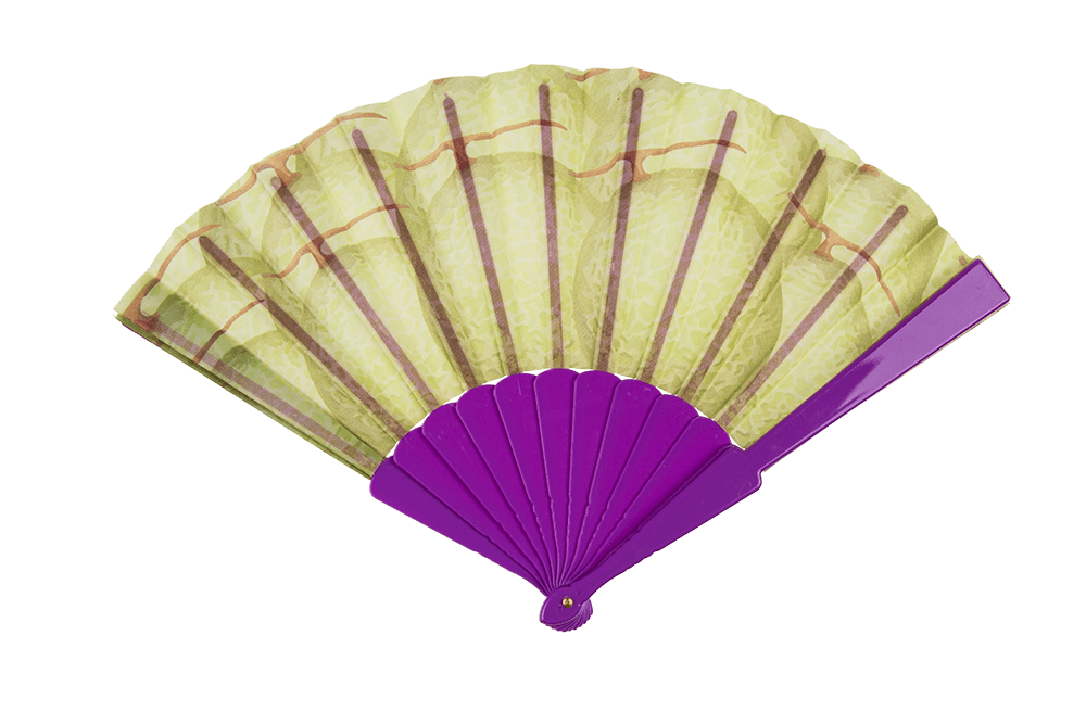 Plastic fan, fruits,