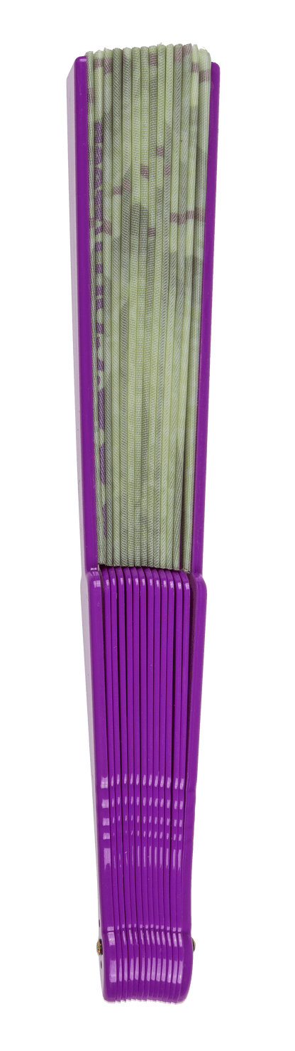 Plastic fan, fruits,