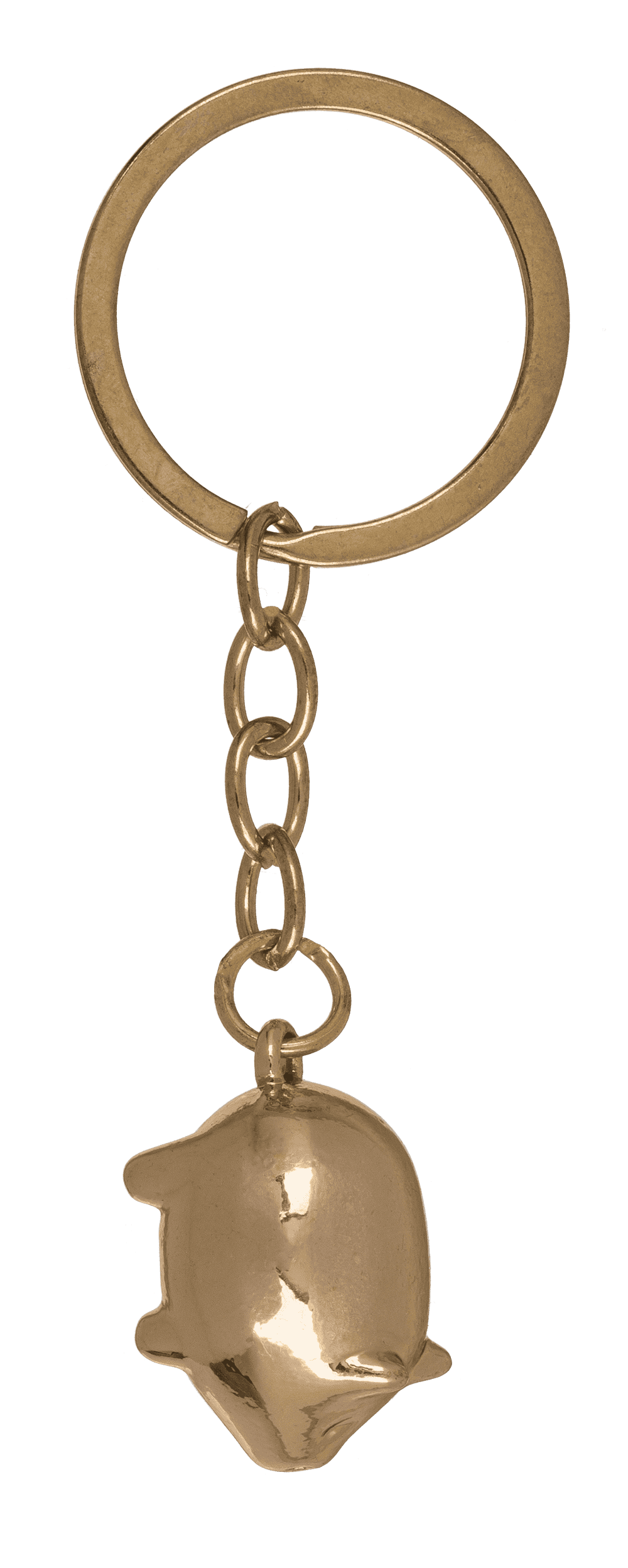 Metal keychain, Lucky Charms,