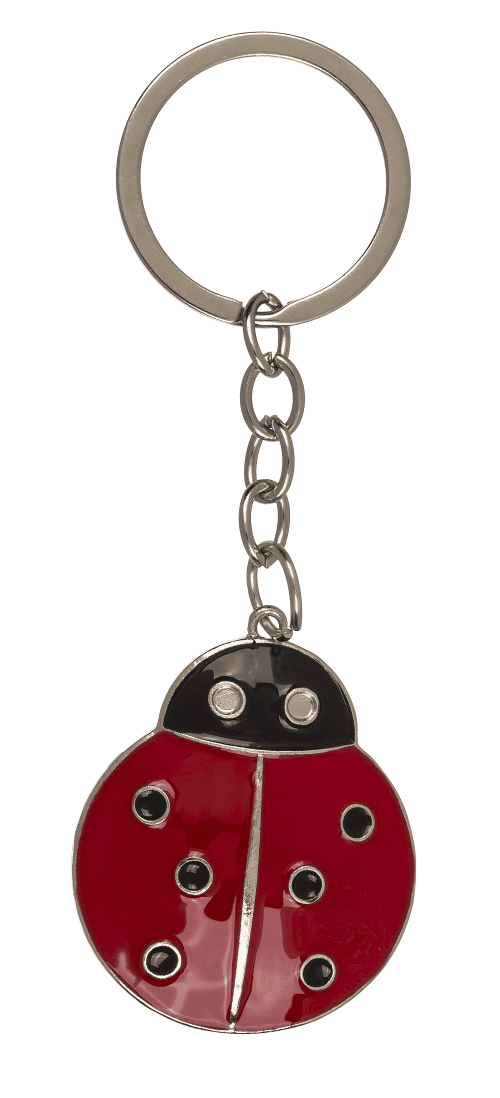 Metal keychain, Lucky Charms,