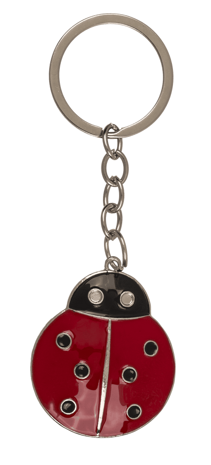 Metal keychain, Lucky Charms,