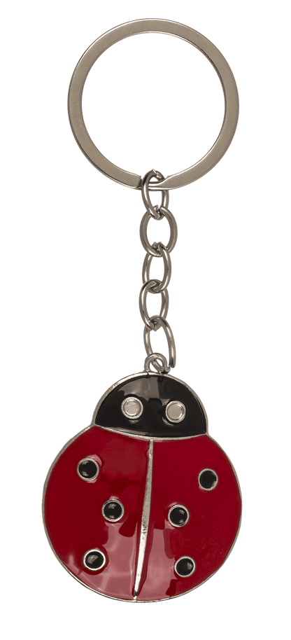 Metal keychain, Lucky Charms,