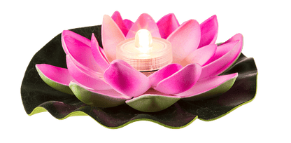 Floating water lily with warm white LED,