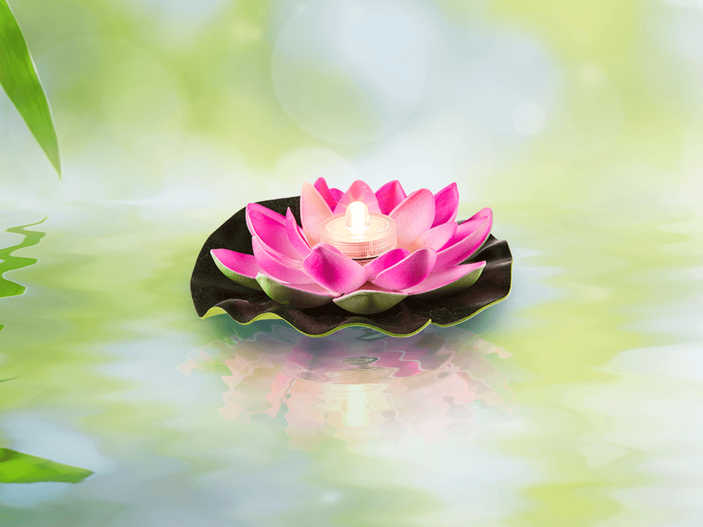 Floating water lily with warm white LED,