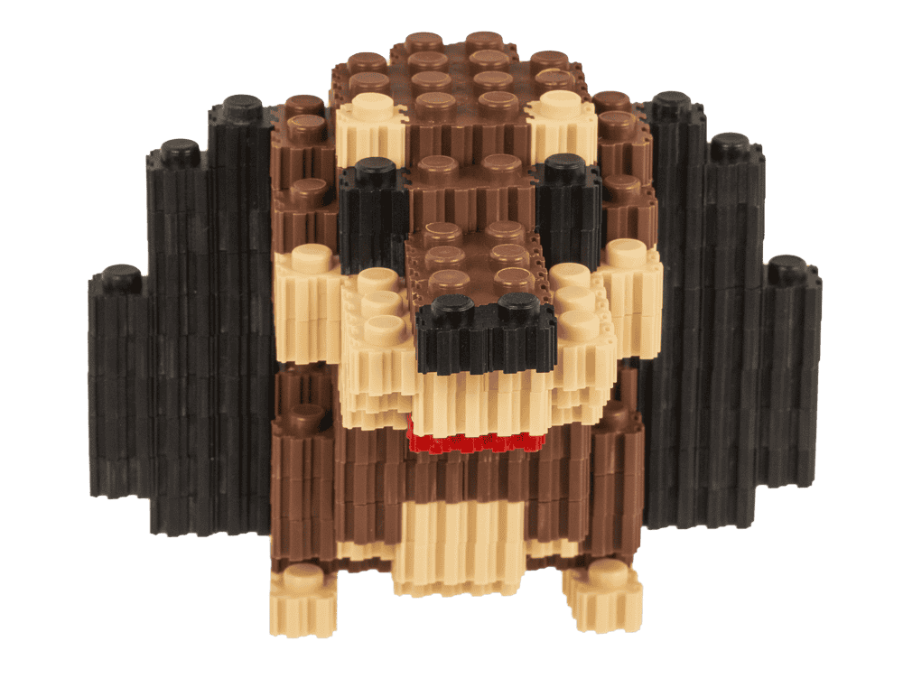 Construction blocks, Puppies,