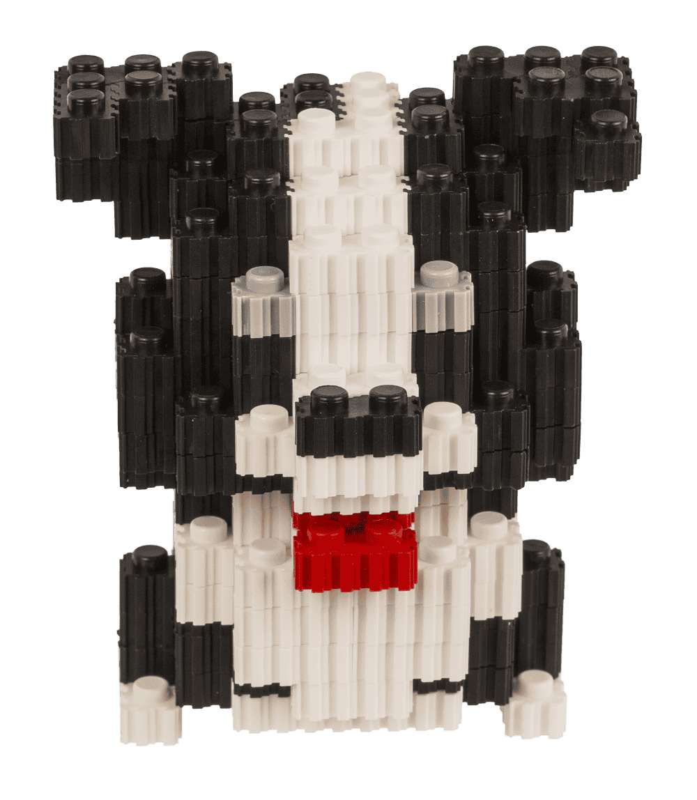 Construction blocks, Puppies,