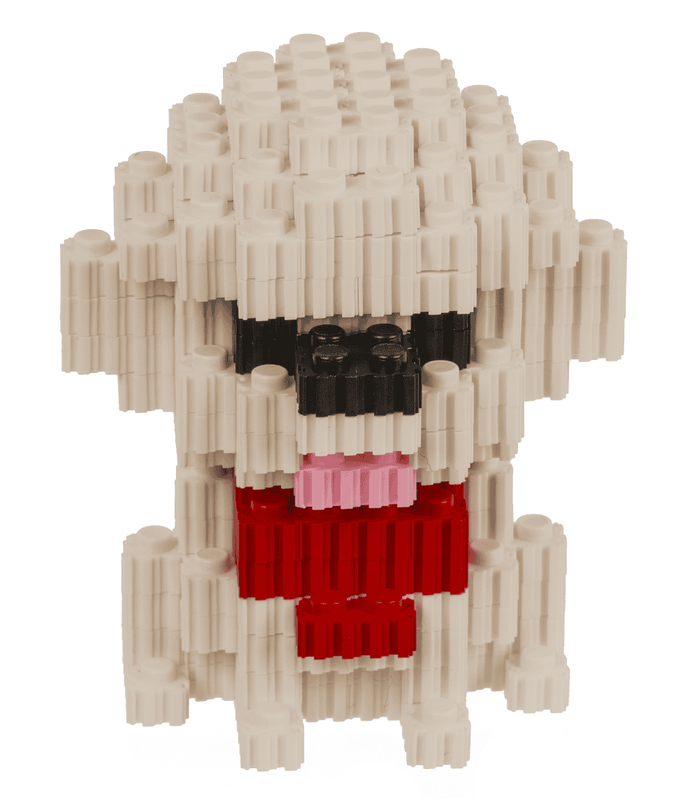 Construction blocks, Puppies,
