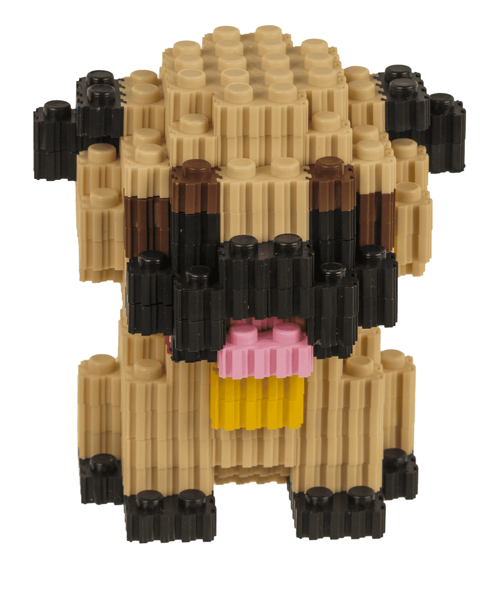 Construction blocks, Puppies,