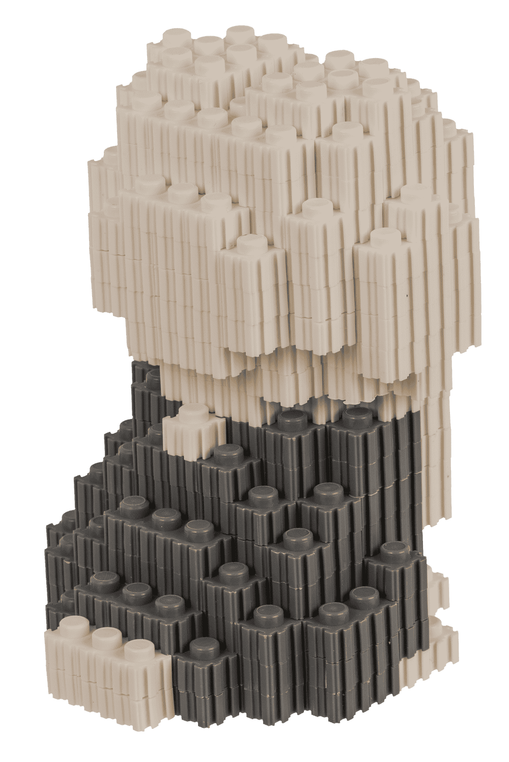 Construction blocks, Puppies,