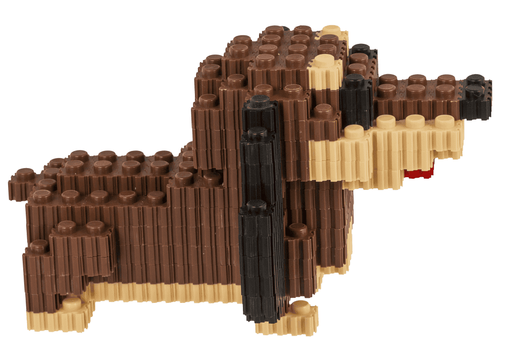 Construction blocks, Puppies,